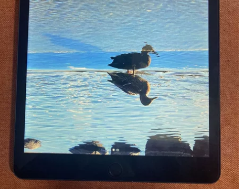 国行IPad 2019 10.2寸第7代 ...