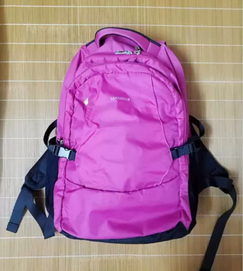 双肩包加大版 容量大 短期旅游就这一个包也...