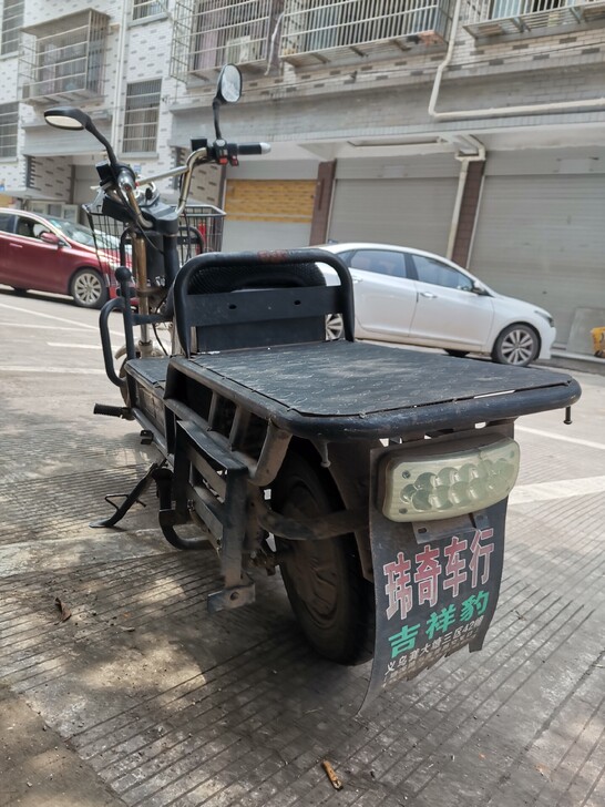 载重王,九成新,有防盗器,充电器,有牌,性...