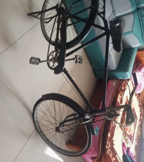 飞鸽自行车，没毛病，正常骑，非常轻巧，还有...