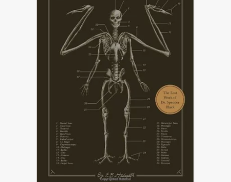 正版进口原版书(含港台) 解剖绝迹神话畅销书