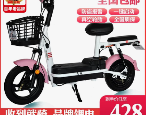 飞鸽新国标电动自行车48V小型电瓶车男女士...