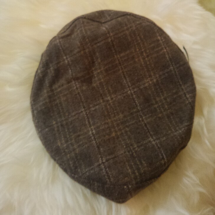 全新棕色格子毛呢帽子感兴趣的话给我留言吧！