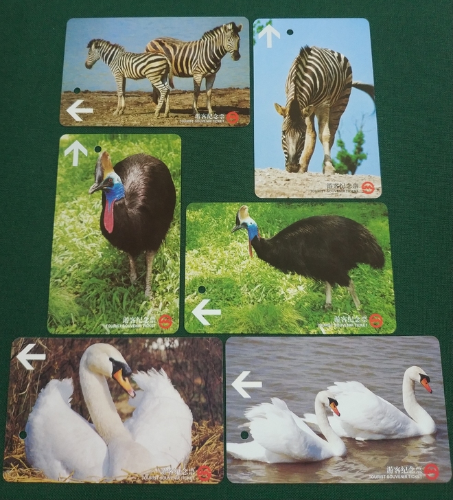 上海地铁卡 珍稀动物系列  平原斑马 鹤鸵...