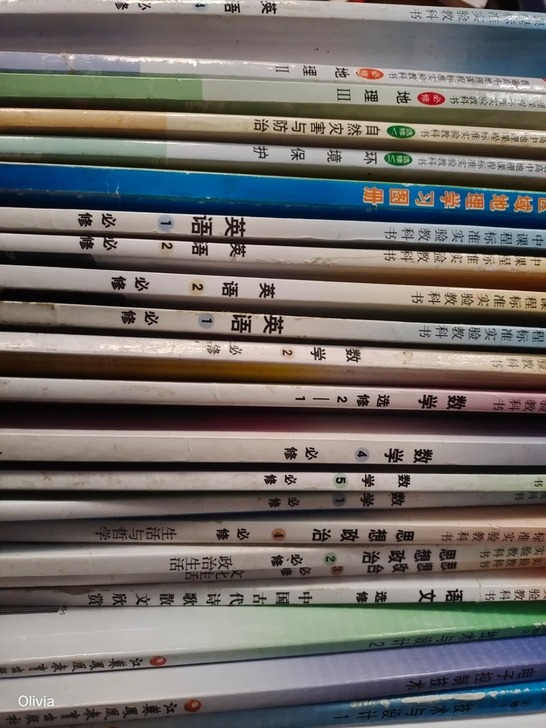 高中闲置课本图册，语文数学英语地理物理技术...