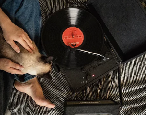 邓丽君黑胶唱片lp 经典歌曲集 老式留声机...