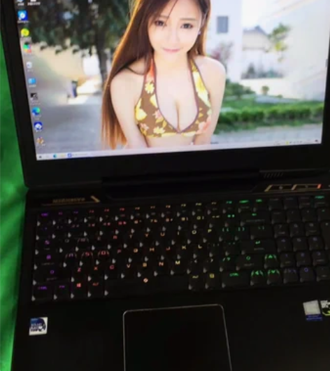 机械革命X8Ti i7 8750 GTX1...