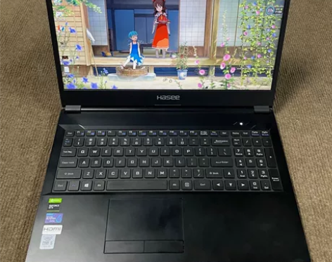 9成新GTX1650二手神舟zx6吃鸡游戏...