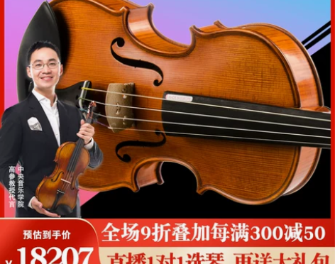 克莉丝蒂娜EU5000D欧洲原装进口小提琴...