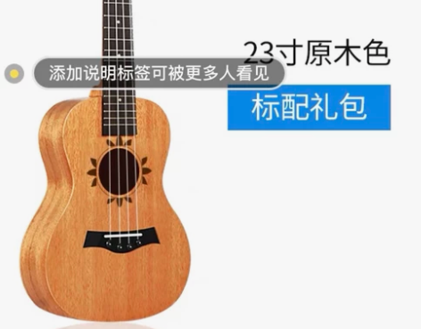 wellburn尤克里里女初学者学生成人男...