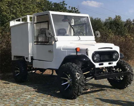 3000W5000W沙滩车四轮两座带斗越野...