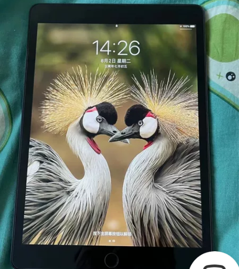 自用ipad 第九代 有原装盒 原装充电器...