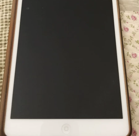 自用ipad mini16G，搬家闲置不退...