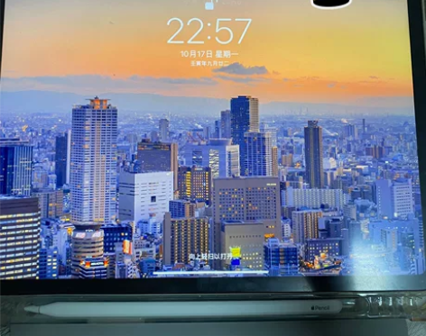 iPad Pro2021   11寸的  ...