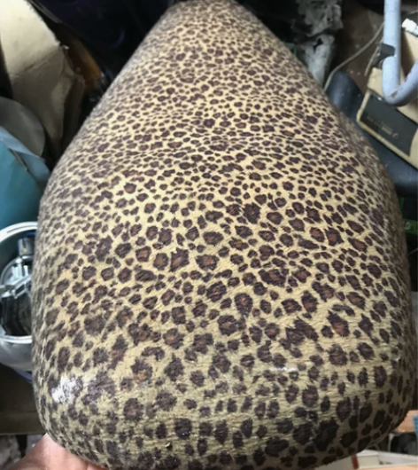 飞鹰人RSz100坐垫 感兴趣的话点“我想...