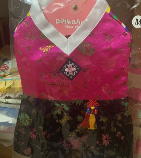 全新韩代宠物韩服 韩国狗狗衣服裙子 全新m...