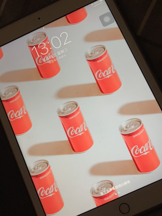 自用iPad 第八代 A12 Bionic