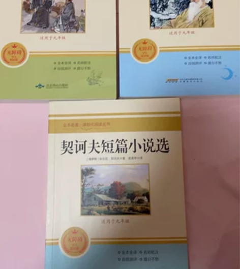 初三（九年级）课外阅读书籍，《泰戈尔诗集》...