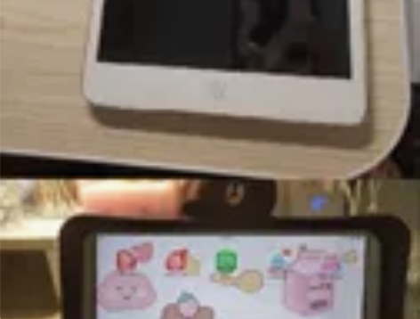 iPad mini 12G成色好新换的电池...