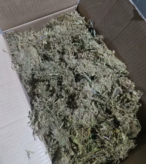 婚庆道具     青苔   一箱 20自提...
