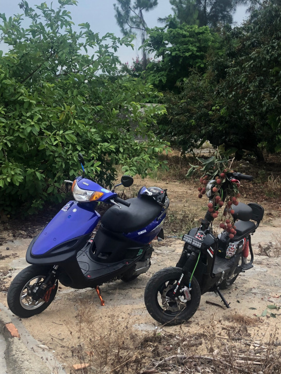 电车