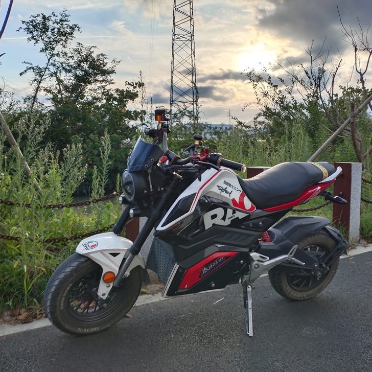 品牌型号 z6电摩