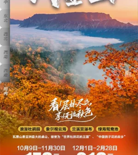 瓦屋山套票（门票+金花桥往返索道+古佛坪往...