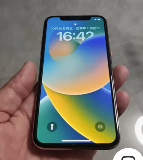 国行 iPhone X，银白色256gG，...