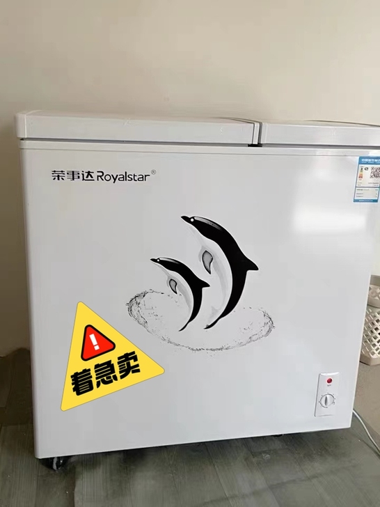【户外厂家搬迁清仓处理!】全新冰柜家用大品...