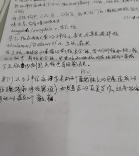写字  手写  dai写  chao写 中...
