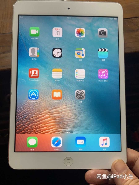 ipad mini 1 16G的，带数据线...