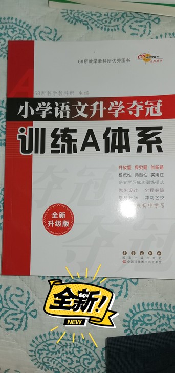 小学语文升级夺冠