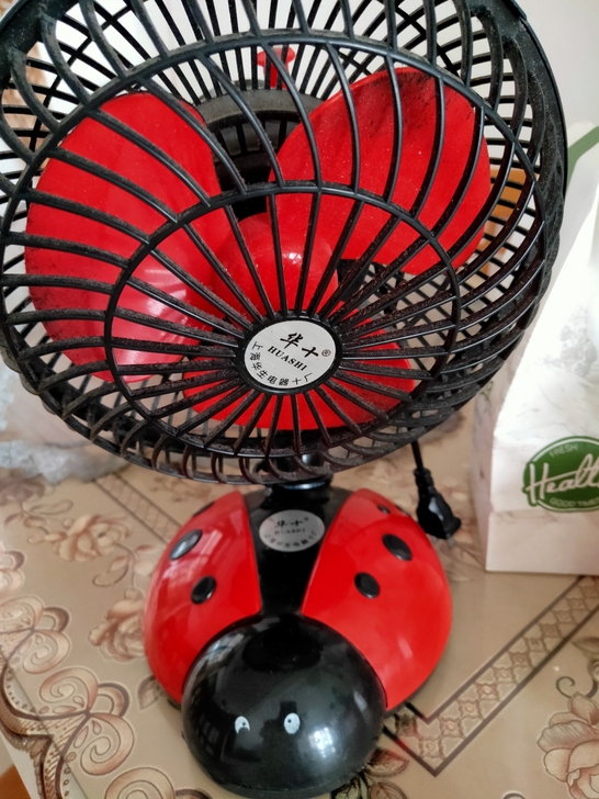 漂亮的小摇头电风扇。
