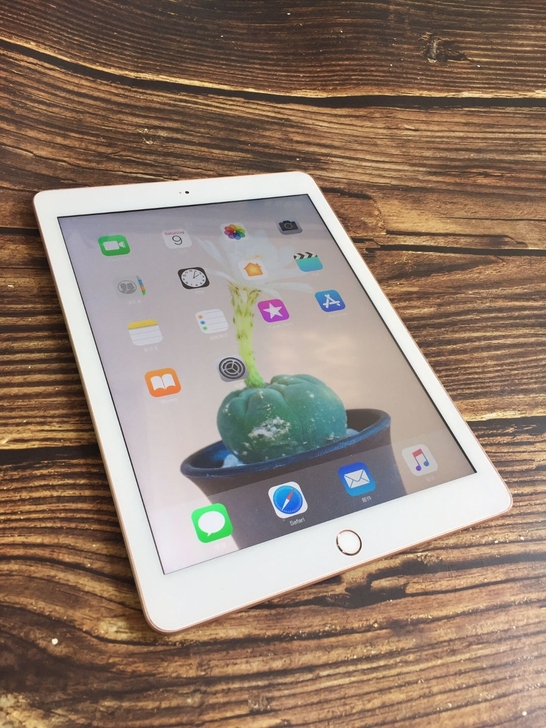 iPadmini3 64g。公司退换下来的...