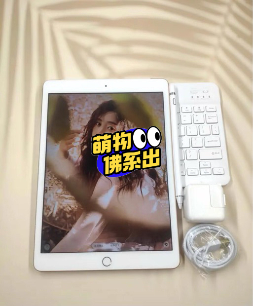 苹果iPad 2019 128g送保护壳插...
