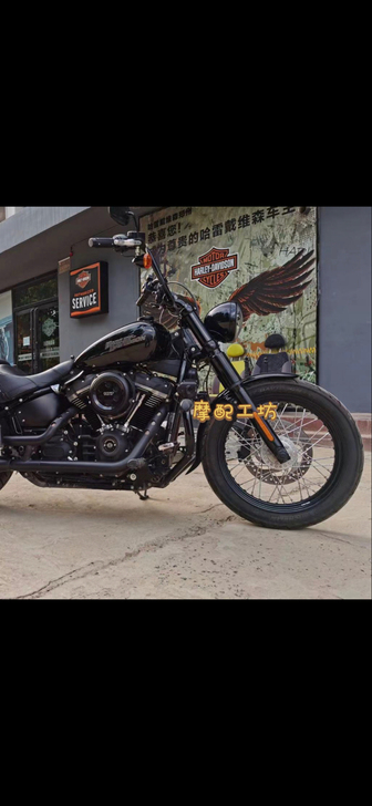 哈雷街霸，突破者，肥霸. 路威 X48改装...