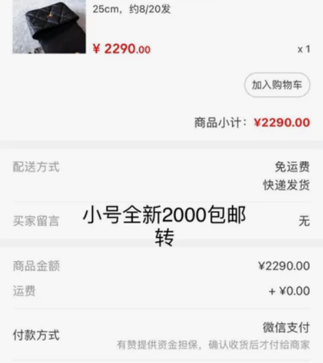 小乐家精选 香奈儿Chanel 19bag...