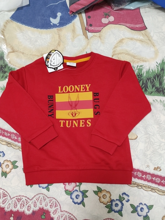 全新安踏春秋款卫衣，实拍图保真售出不退不换...