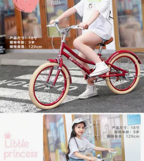 永久旗舰店购买，单速自行车，现淘宝也有销售...