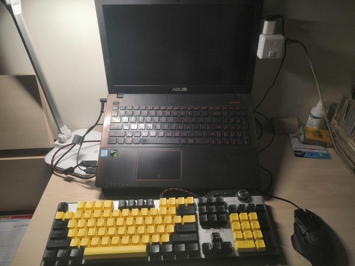 华硕 飞行堡垒 w50v