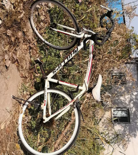 公路自行车(骑行队的)一俩。同城自提！标价...