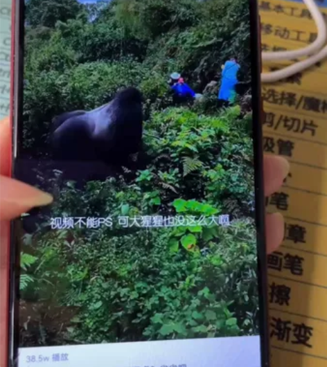 华为畅享10 .内存4+128g 成色如图...