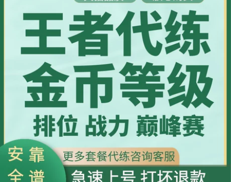 代练王者荣耀金币周上限代打刷1-30等级