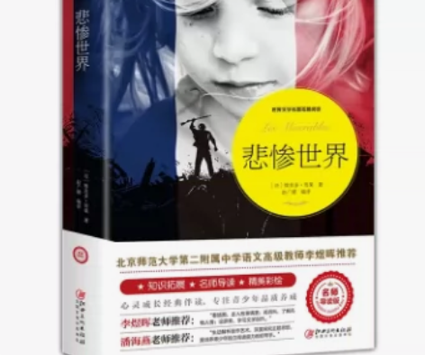悲惨世界 世界经典文学名著正版原版原著初高...
