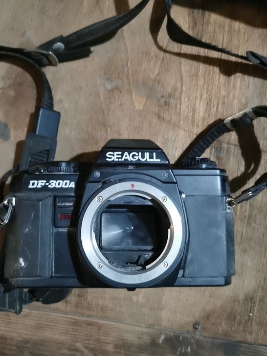 海鸥DF-300A裸机一个,成色如图,可以...