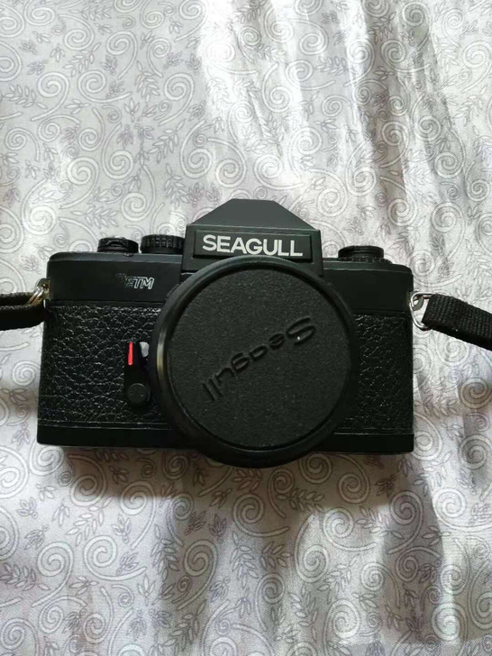 海鸥Df相机型号2ETM。