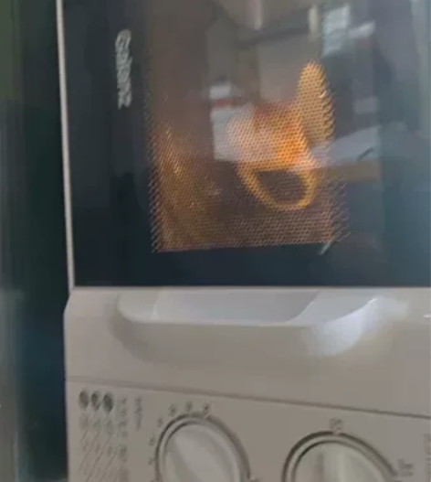 格兰仕微波炉，没用几次，便宜卖了 感兴趣的...