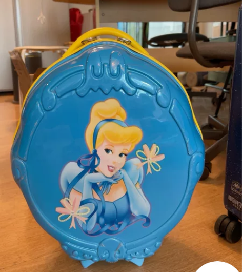 迪士尼公主拉杆箱，没用过，20块自提，上海...