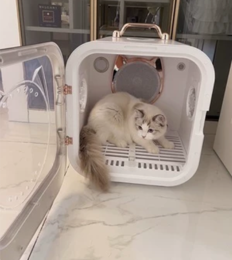 德妈宠物烘干箱全自动猫咪烘干箱家用静音吹风...