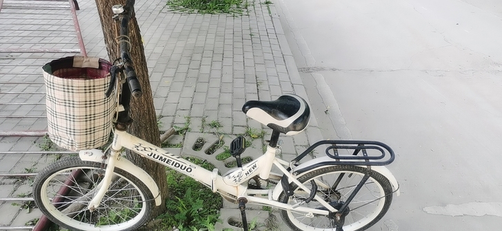 小自行车，在一中二部，同城出，限自提，送锁...